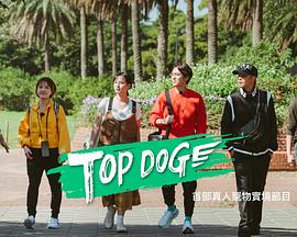 海角涩区《TOP DOG》免费在线观看