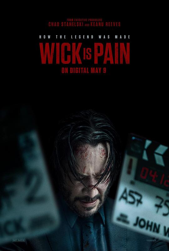 海角涩区《疾速剧痛 Wick Is Pain》免费在线观看