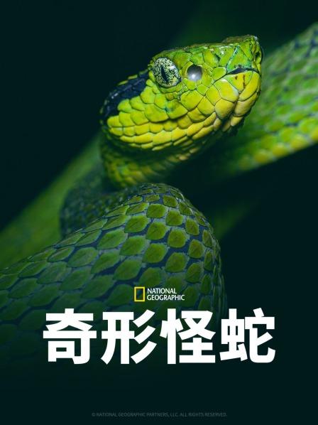 海角爆料《奇形怪蛇》免费在线观看